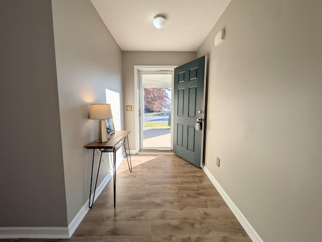 entryway featuring hardwood / wood-style floors