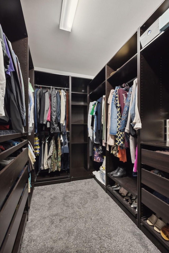 spacious closet featuring carpet floors