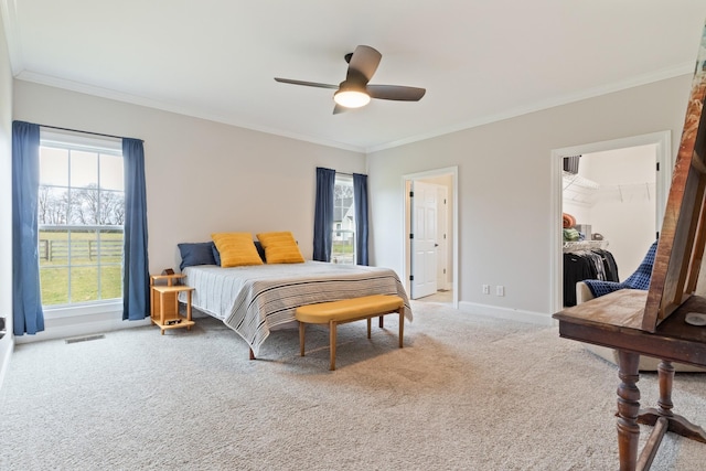 carpeted bedroom featuring ornamental molding, a spacious closet, ceiling fan, and a closet