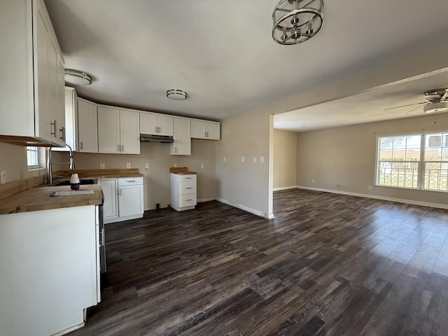 kitchen with plenty of natural light, sink, white cabinets, and dark hardwood / wood-style floors