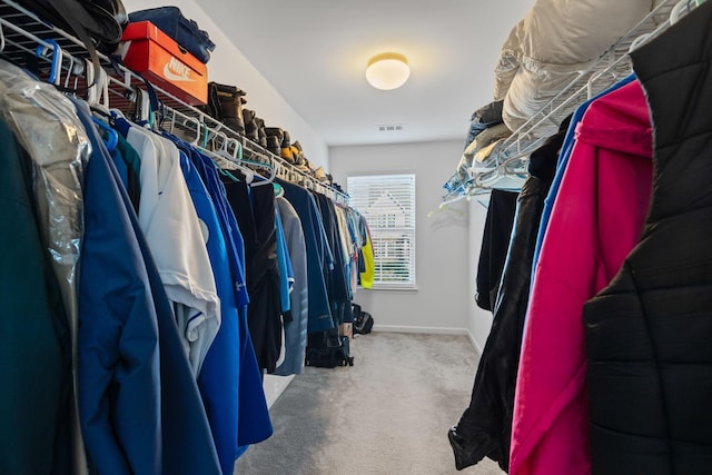 spacious closet with carpet flooring