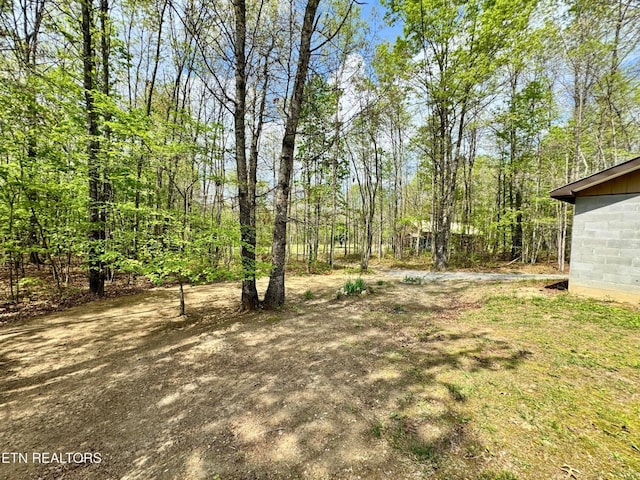 907 Parkstown Ext, Wilder, TN 38589 - view of yard