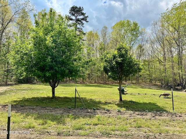 907 Parkstown Ext, Wilder, TN 38589 - view of yard