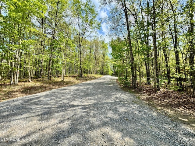 907 Parkstown Ext, Wilder, TN 38589 - view of road with a forest view