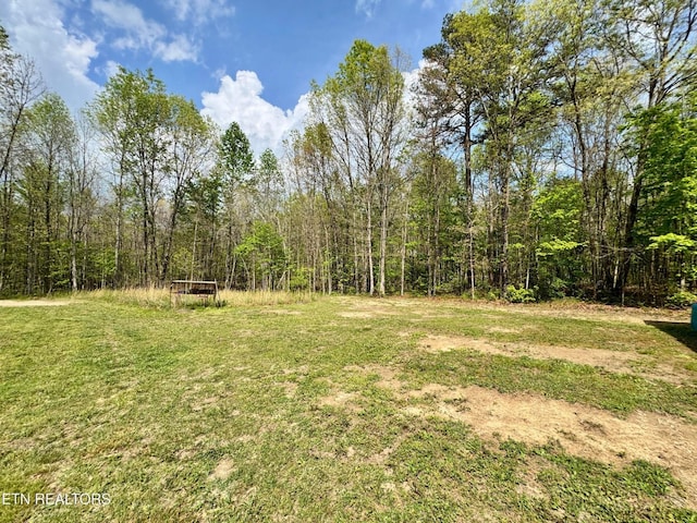 907 Parkstown Ext, Wilder, TN 38589 - view of yard featuring a view of trees