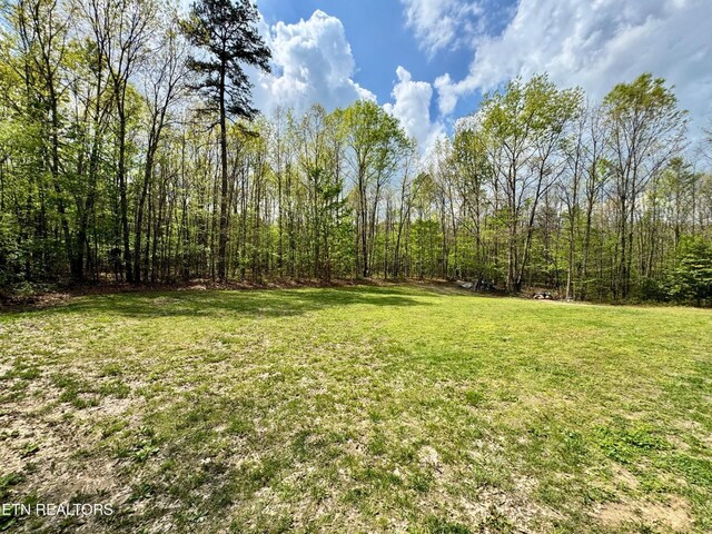 907 Parkstown Ext, Wilder, TN 38589 - view of yard with a view of trees