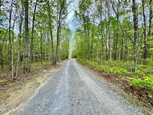 907 Parkstown Ext, Wilder, TN 38589 - view of street featuring a view of trees