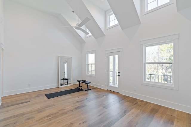 workout room featuring ceiling fan, light hardwood / wood-style floors, and a healthy amount of sunlight