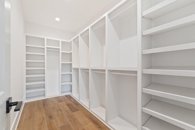 spacious closet featuring hardwood / wood-style floors