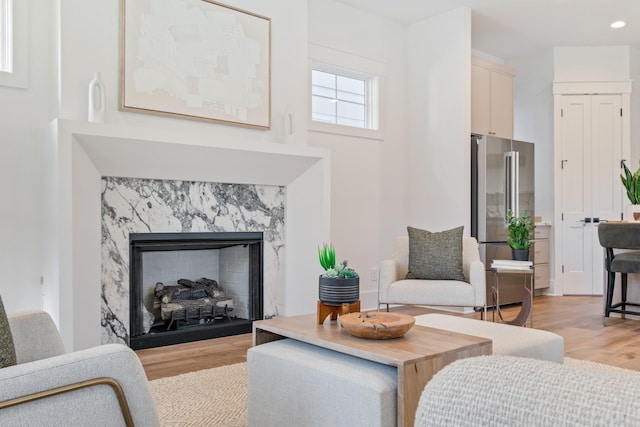 living room featuring a fireplace and light wood-type flooring