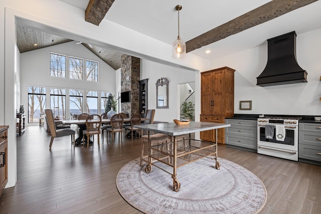 kitchen with high end range, dark hardwood / wood-style floors, gray cabinets, and custom range hood