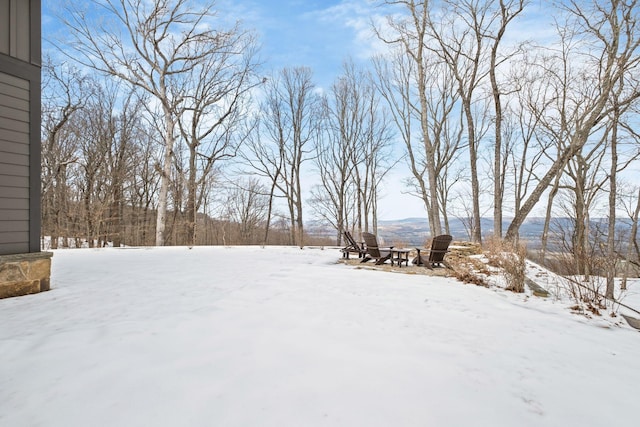 view of yard layered in snow