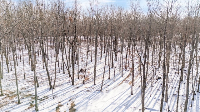 view of snow covered land