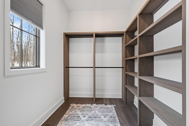 walk in closet with dark hardwood / wood-style floors