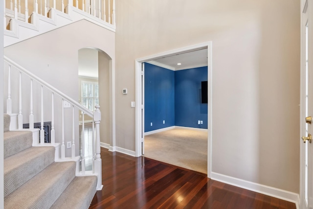 entryway featuring a high ceiling and dark wood-type flooring