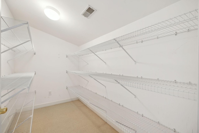 spacious closet with light colored carpet