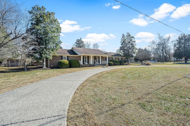 ranch-style home with a front lawn