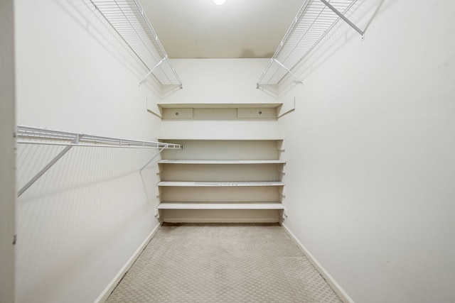 spacious closet featuring carpet floors