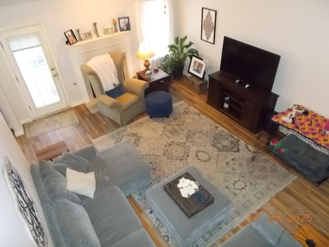 living room featuring plenty of natural light and light hardwood / wood-style floors