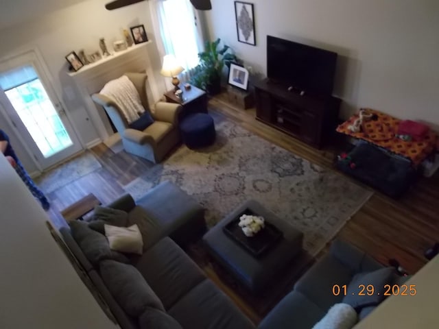 living room featuring ceiling fan, wood-type flooring, and a wealth of natural light