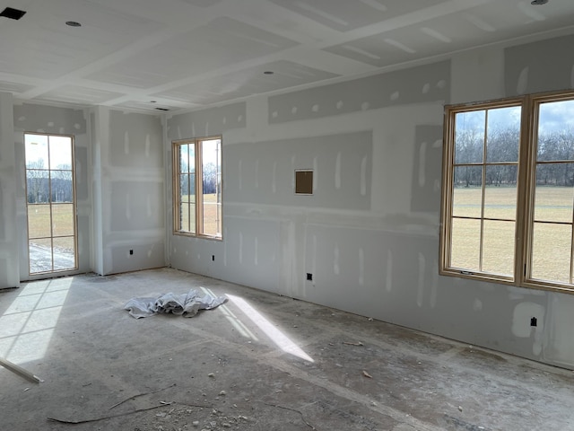 spare room with plenty of natural light