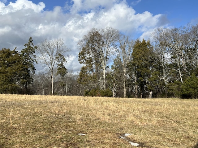 view of local wilderness