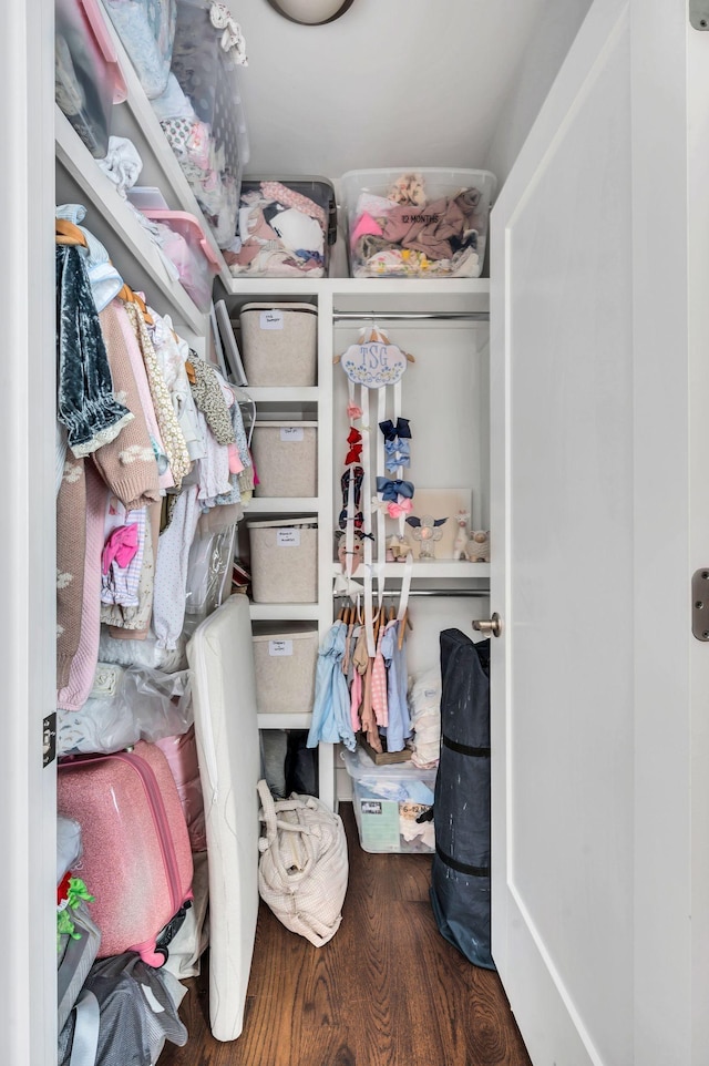 walk in closet featuring dark wood-type flooring