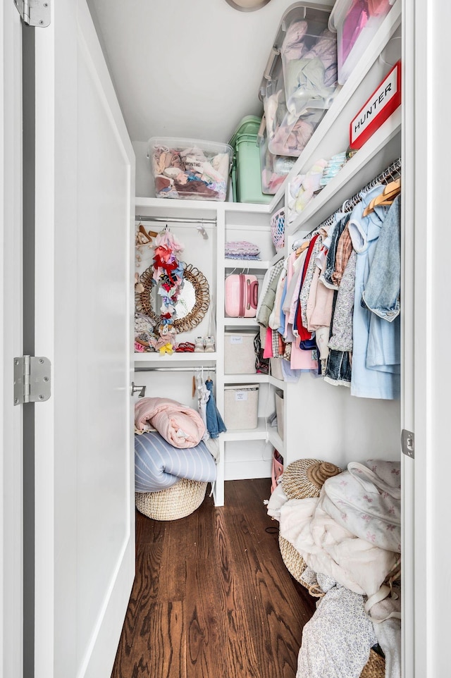 walk in closet with hardwood / wood-style flooring