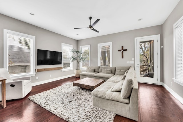 living room with ceiling fan and dark hardwood / wood-style flooring