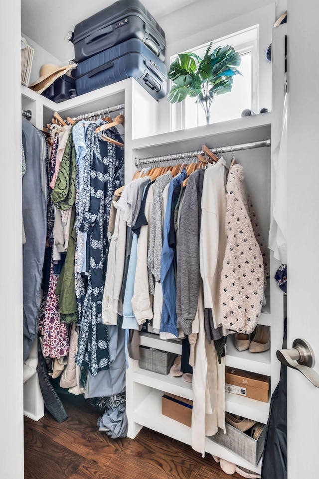 walk in closet featuring dark hardwood / wood-style flooring