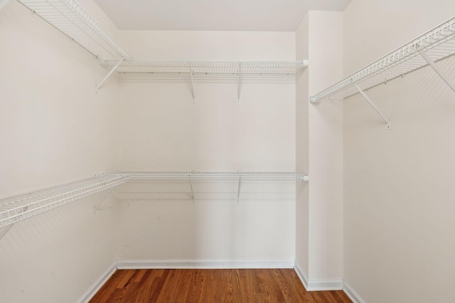 spacious closet with wood-type flooring