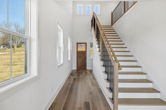 entryway with hardwood / wood-style floors, a towering ceiling, and a wealth of natural light