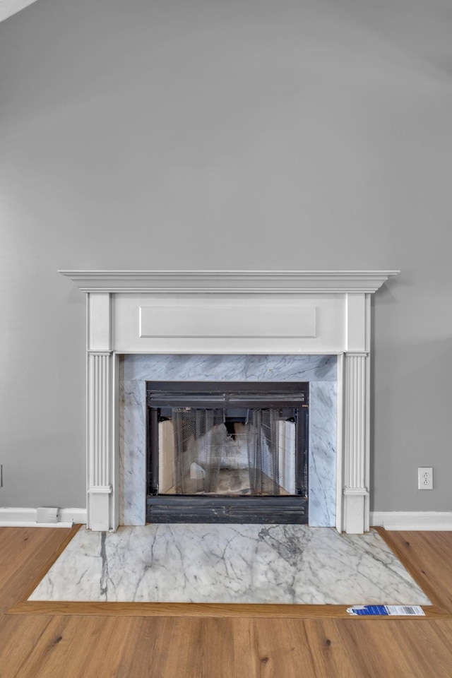 room details featuring hardwood / wood-style flooring and a fireplace