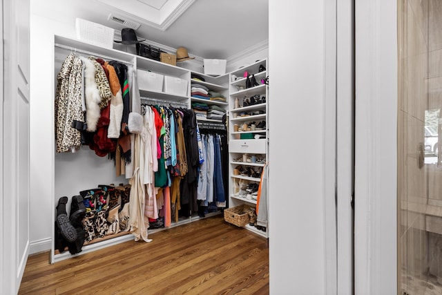 spacious closet featuring wood-type flooring