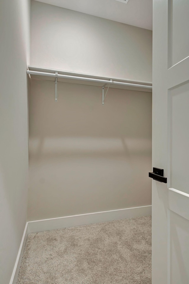 spacious closet featuring carpet floors