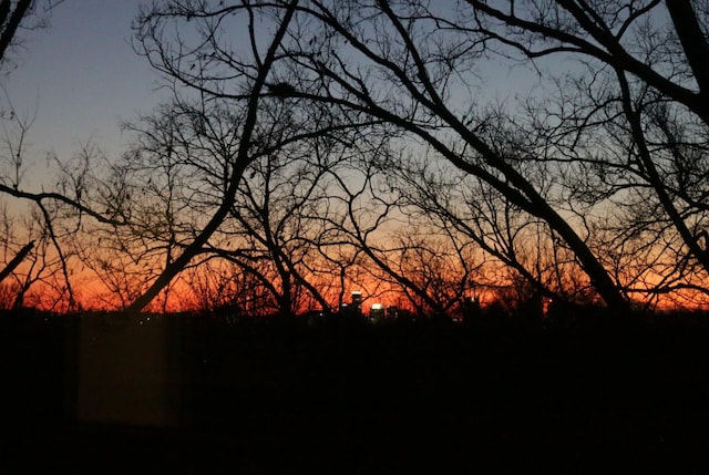 view of nature at dusk