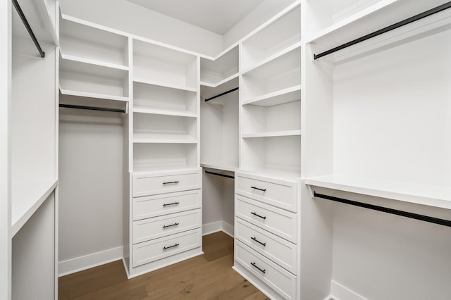 spacious closet with dark hardwood / wood-style floors