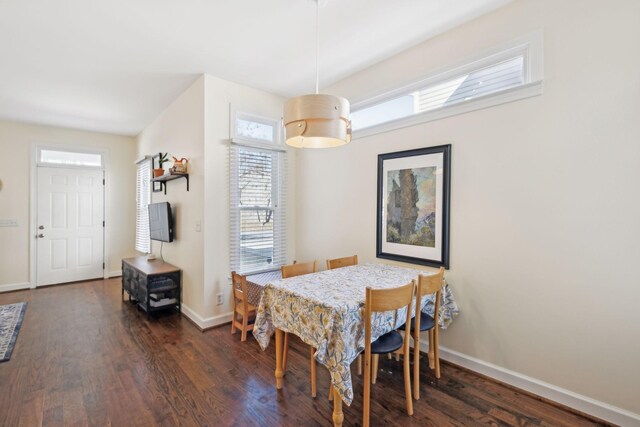 dining area featuring dark wood-type flooring