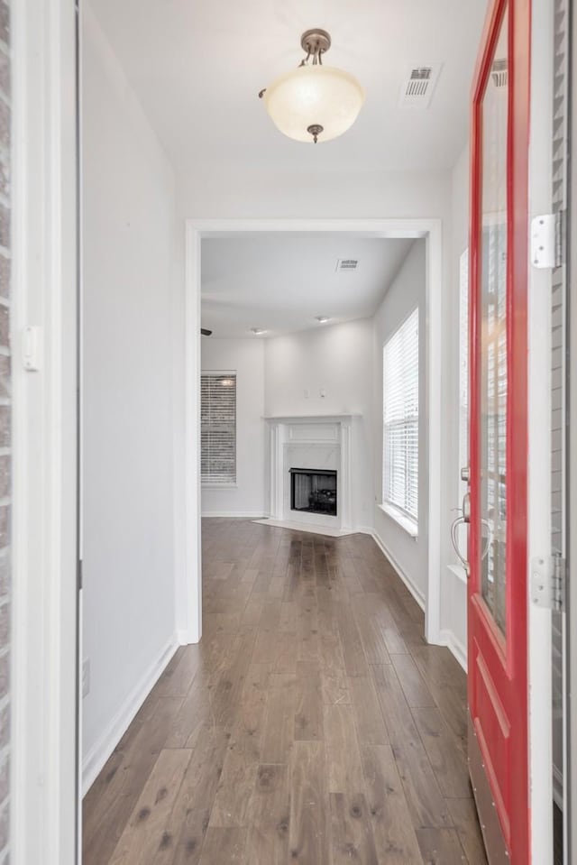 entryway featuring wood-type flooring and a premium fireplace