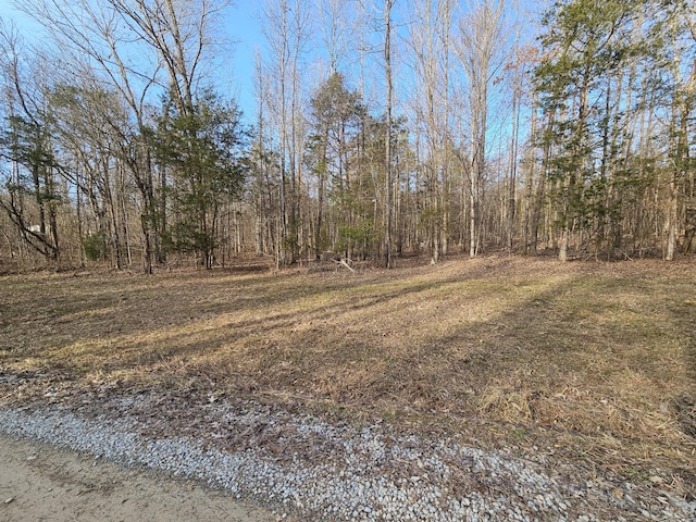 0 Beech Creek Loop, Clifton TN, 38425 land for sale