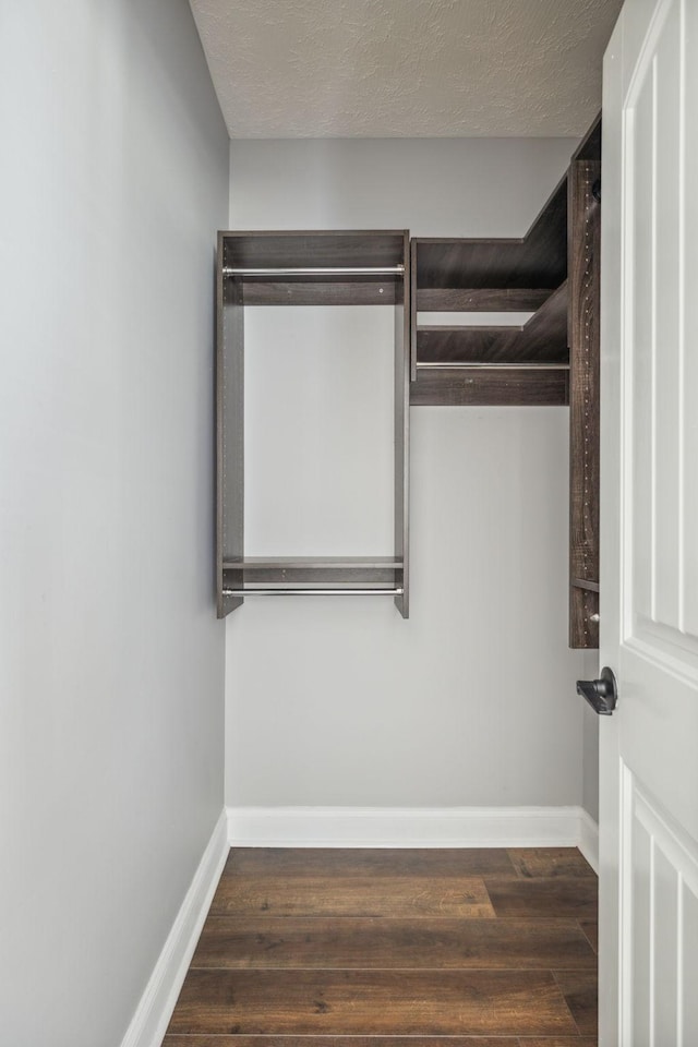 walk in closet featuring dark hardwood / wood-style floors