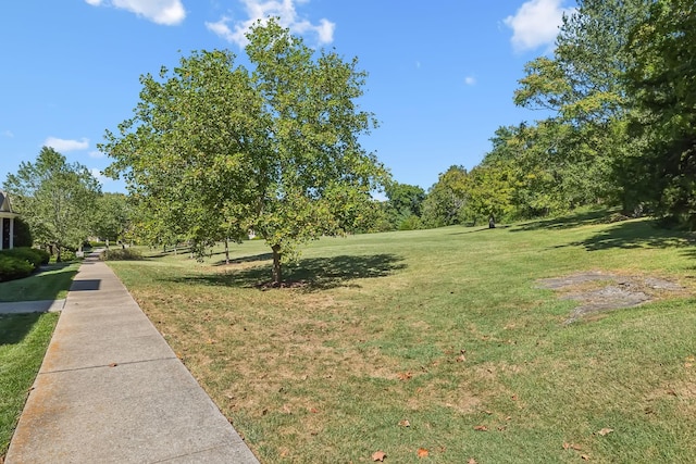 view of home's community with a yard