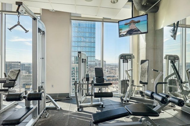 exercise room featuring a wall of windows and a healthy amount of sunlight