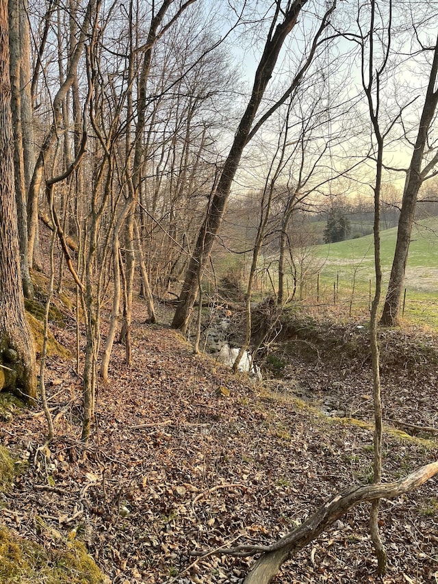 view of landscape featuring a rural view