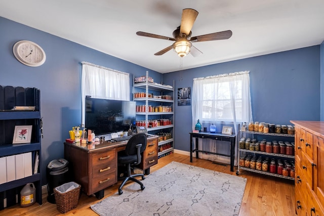 office area with ceiling fan and light hardwood / wood-style floors