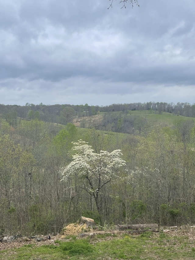 view of local wilderness featuring a rural view