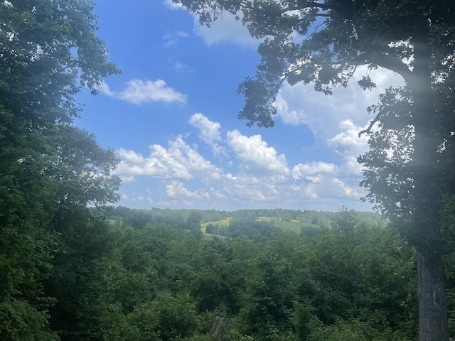 view of landscape