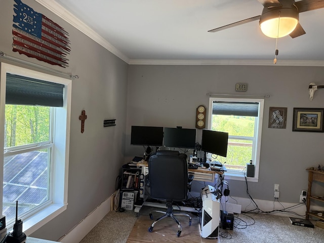 office space with ceiling fan and crown molding