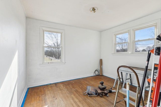 exercise room with a healthy amount of sunlight and hardwood / wood-style floors