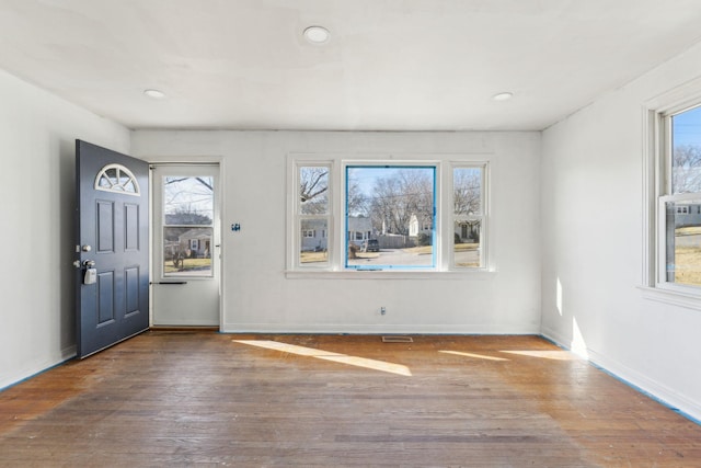 entryway featuring hardwood / wood-style flooring and plenty of natural light